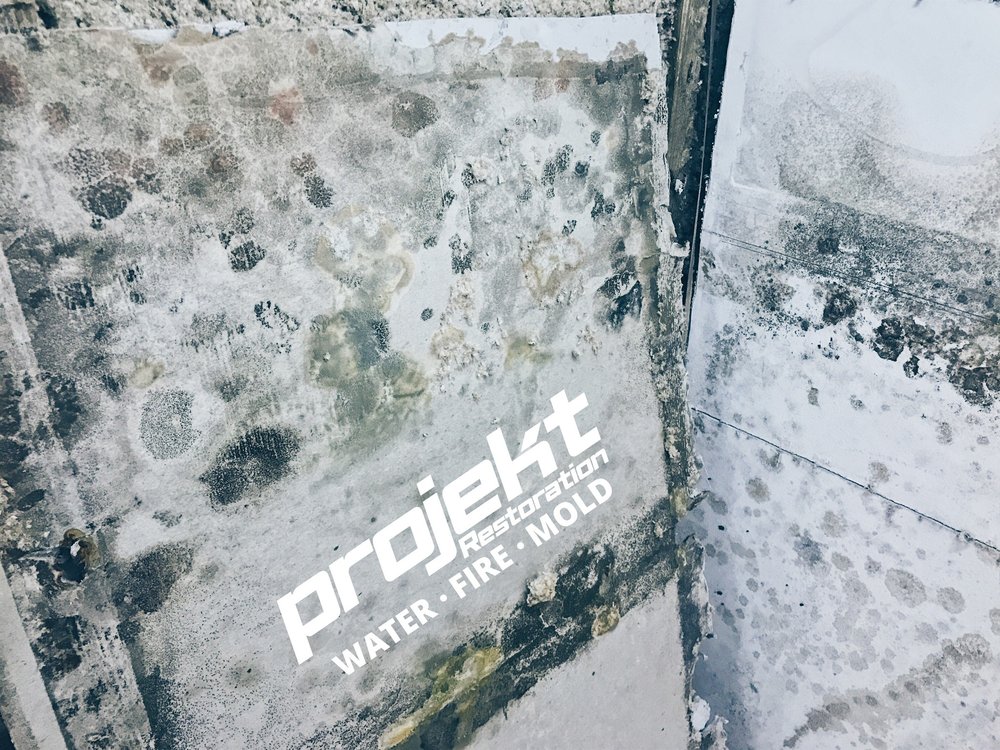 Photo of Projekt Property Restoration