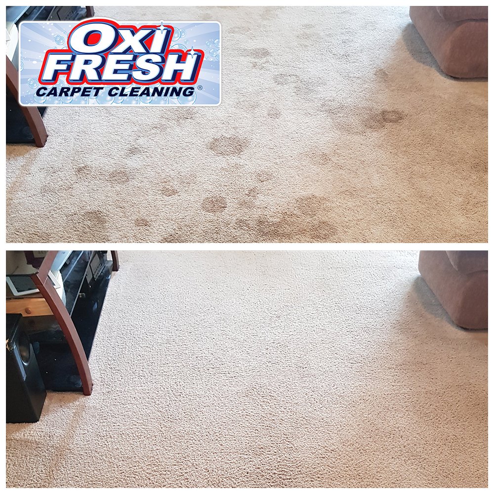 Photo of Oxi Fresh Carpet Cleaning