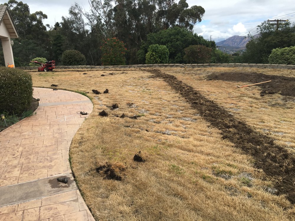 Photo of Sunshine Lawn and Garden Services