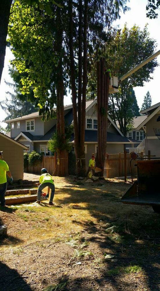 Photo of NW Earthworks Enterprise