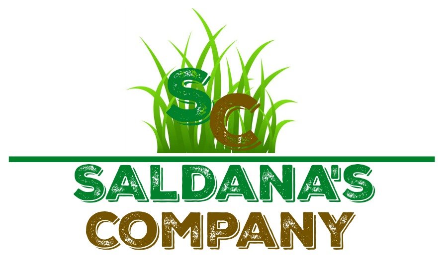 Photo of Saldana's Company