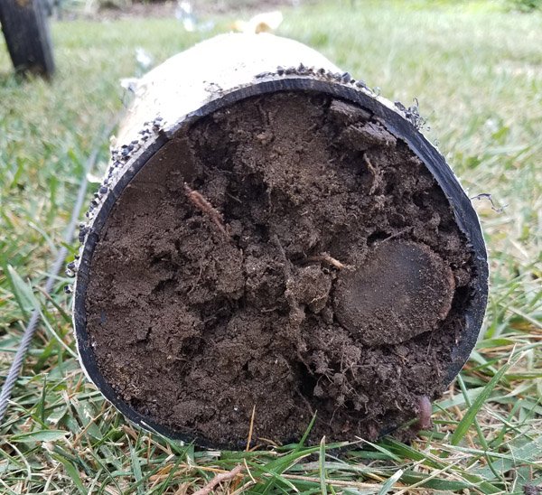 Photo of Advanced Sprinkler and Drainage Repair