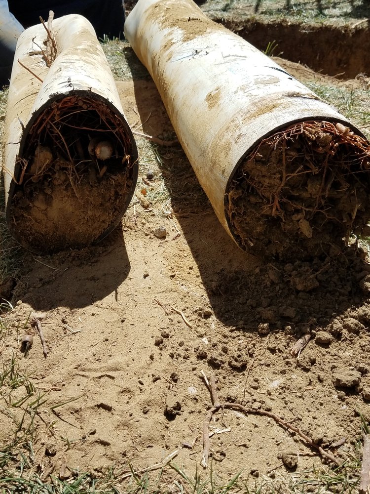 Photo of Advanced Sprinkler and Drainage Repair