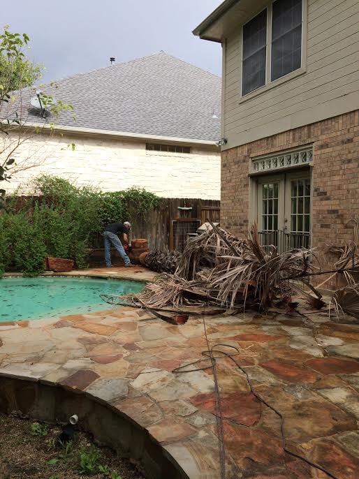 Photo of Catheys Lawn Care