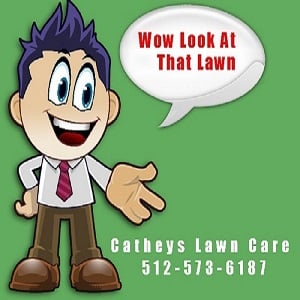 Photo of Catheys Lawn Care