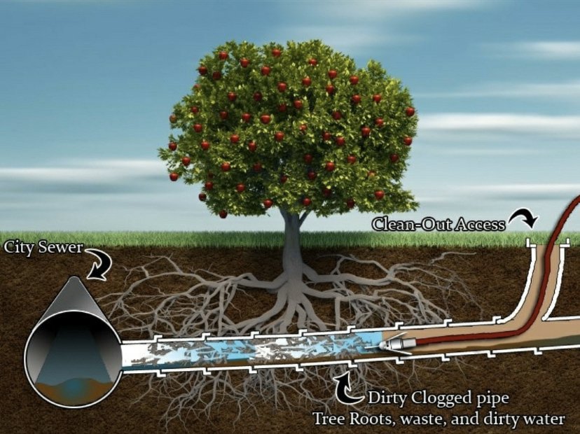 Photo of Zoom Drain