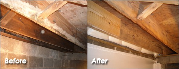 Photo of Emergency Restoration Services