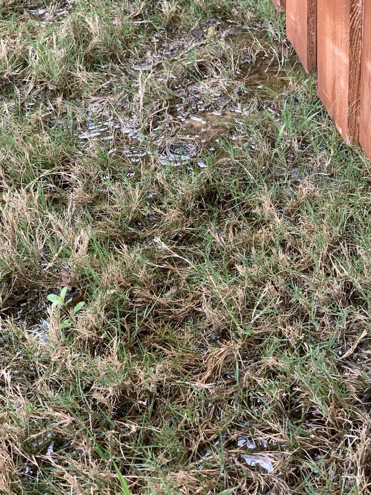 Photo of North By Northwest Lawns
