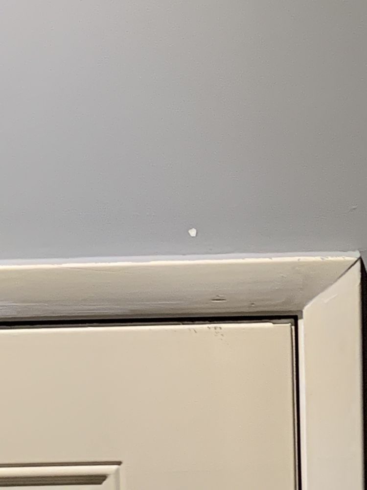 Photo of Carolina Painting and Pressure Cleaning