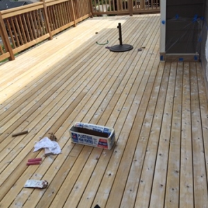 Photo of MS Painting Services