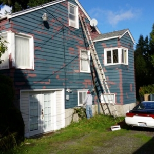 Photo of MS Painting Services