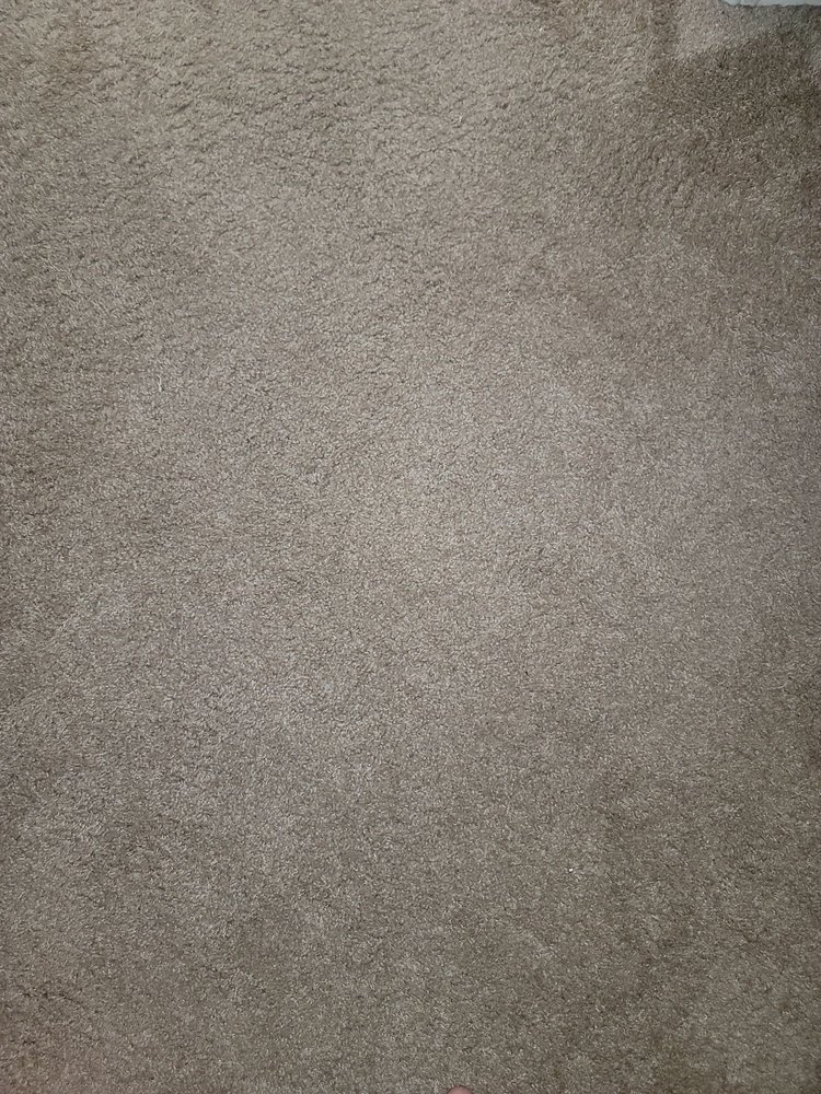 Photo of Marquelia Carpet Cleaning #2