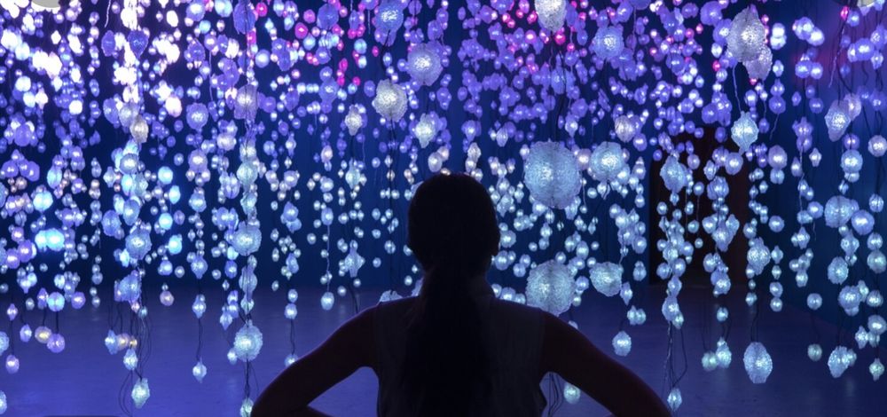 Photo of The Imani Immersive Gallery