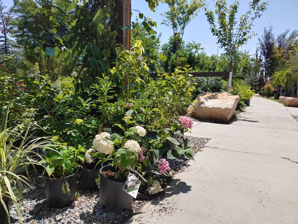 Photo of Landscape Supply of Utah