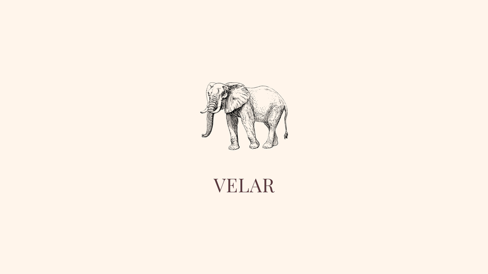 Photo of Velar Business Management