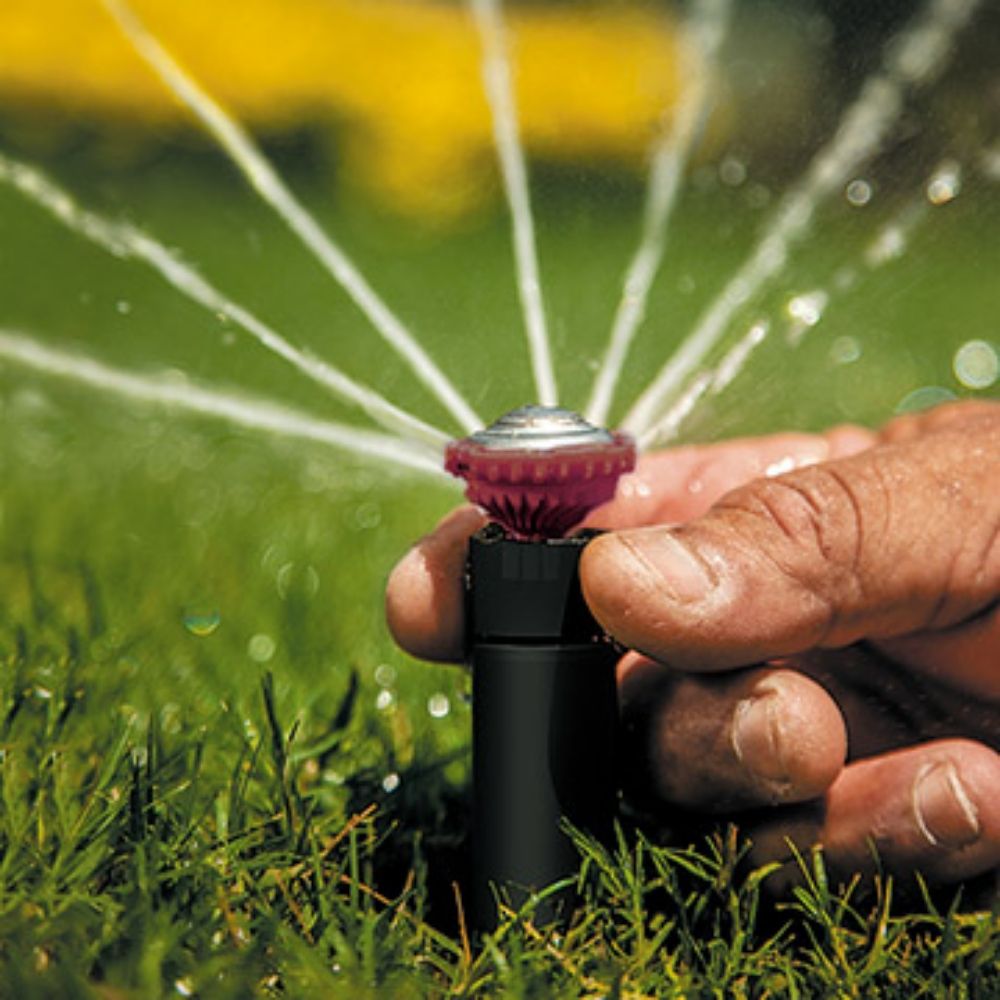 Photo of TLM Irrigation & Lighting