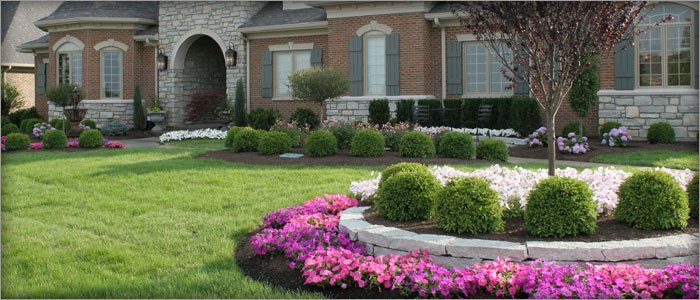 Photo of Jax Lawn Care