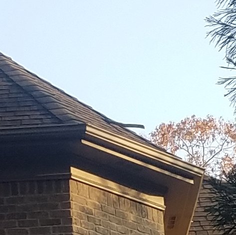 Photo of Brodie's Top Roofing