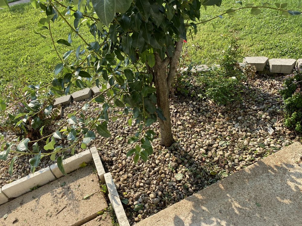 Photo of Rosewood Landscape Designs