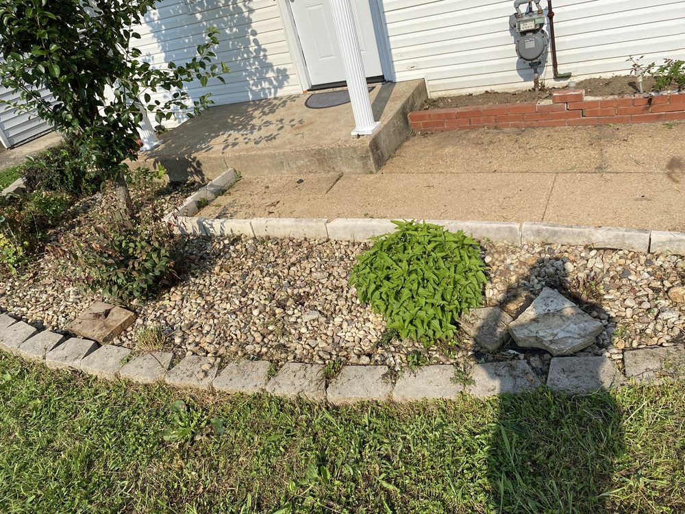 Photo of Rosewood Landscape Designs