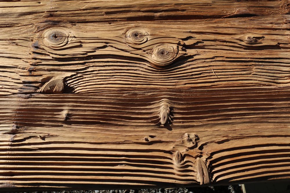 Photo of Good News Wood Salvation