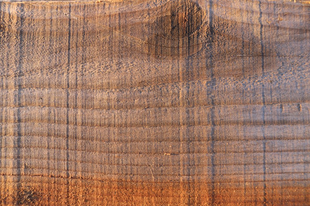Photo of Good News Wood Salvation