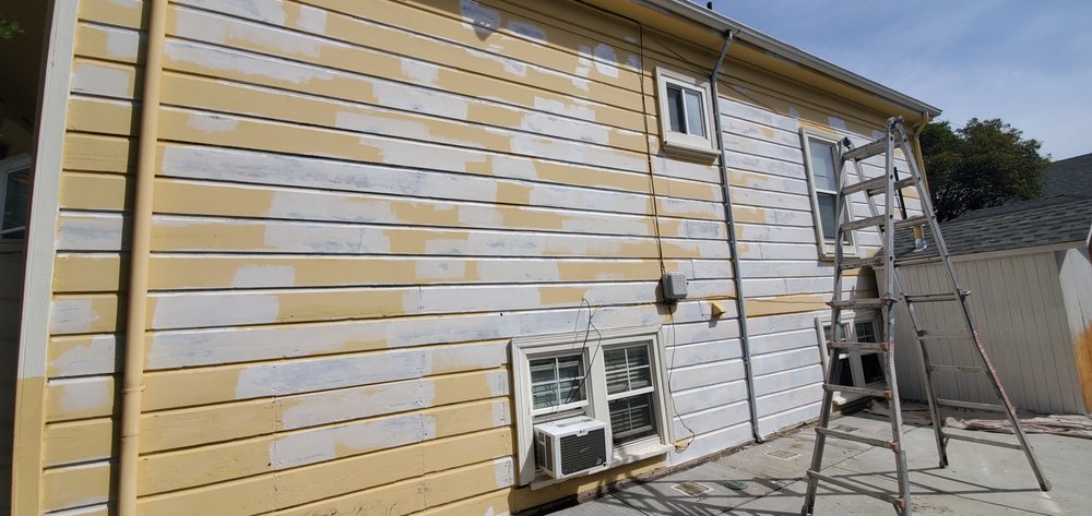 Photo of Proactive Painting
