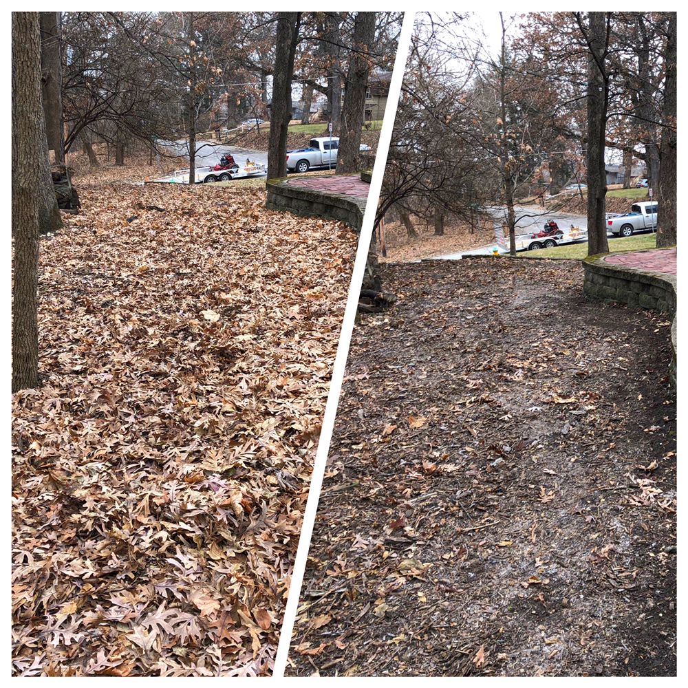 Photo of Iowa Lawn Pro