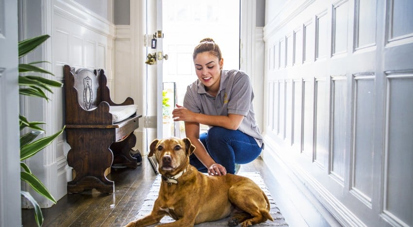 Photo of Affordable Cleaning Service