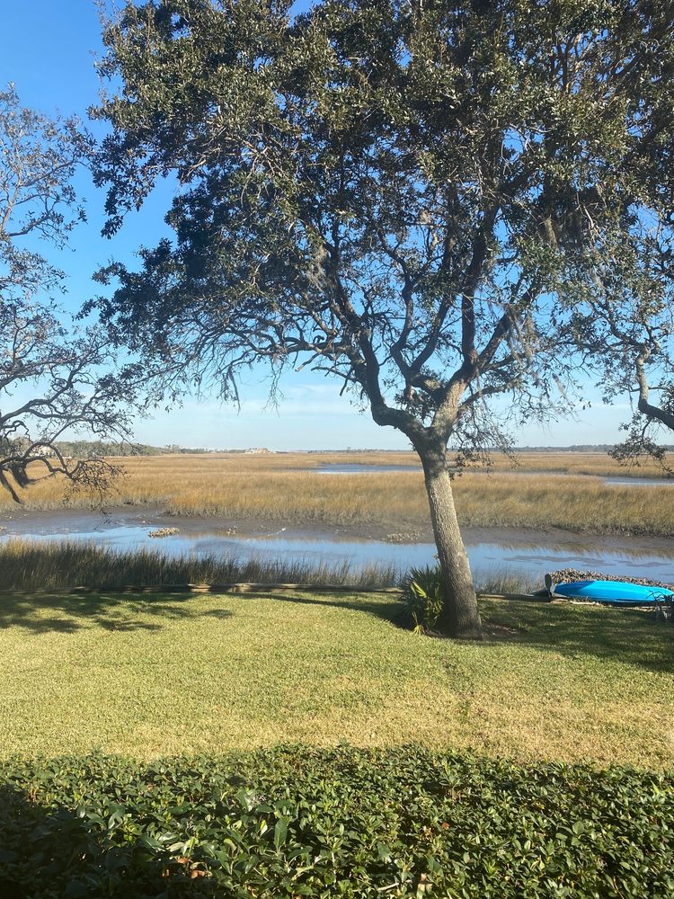 Photo of Gator Irrigation and Landscaping