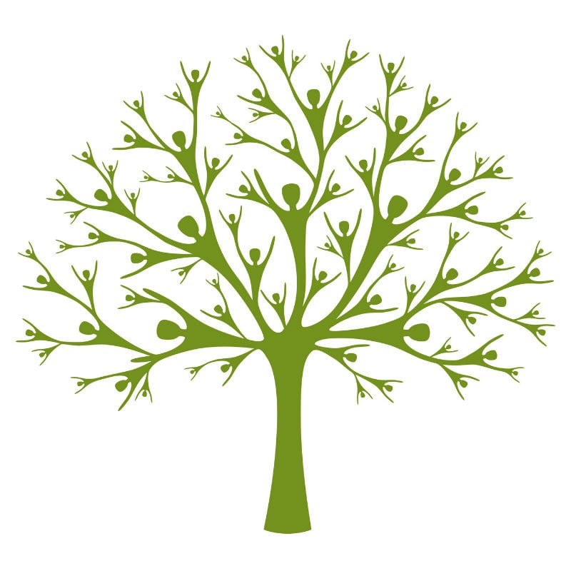 Photo of Ofilio Tree Service