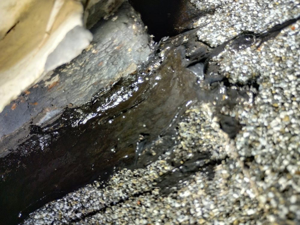 Photo of Pro-Tec Contracting