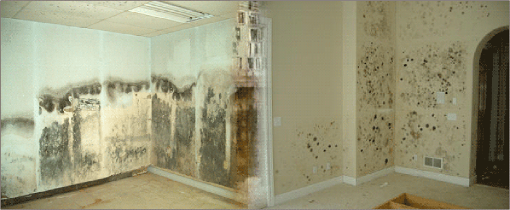 Photo of UAC Water Damage Key Biscayne