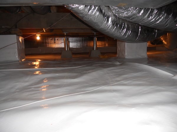 Photo of The Basement Doctor of Central Kentucky