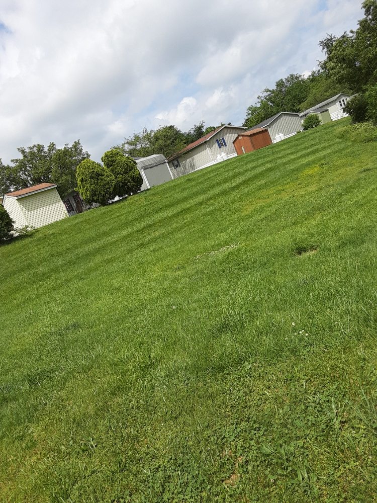 Photo of Tj Lawn Care And Power Washing