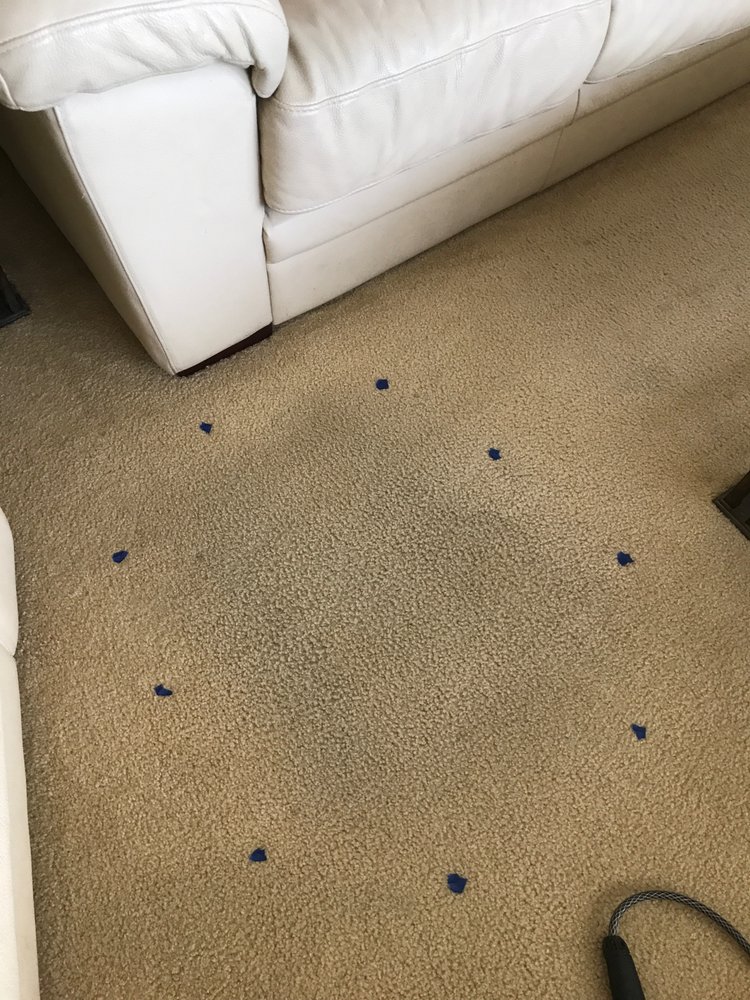 Photo of Jasmin Carpet Cleaning