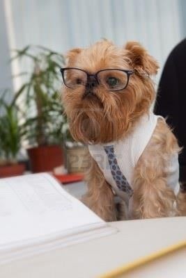 Photo of Rivera Accounting & Tax