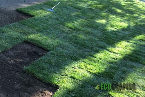 Photo of Ecoscaping Landscape & Construction
