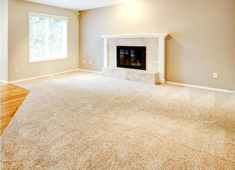 Photo of Palmetto Disinfecting & Sanitizing Plus Carpet Cleaning