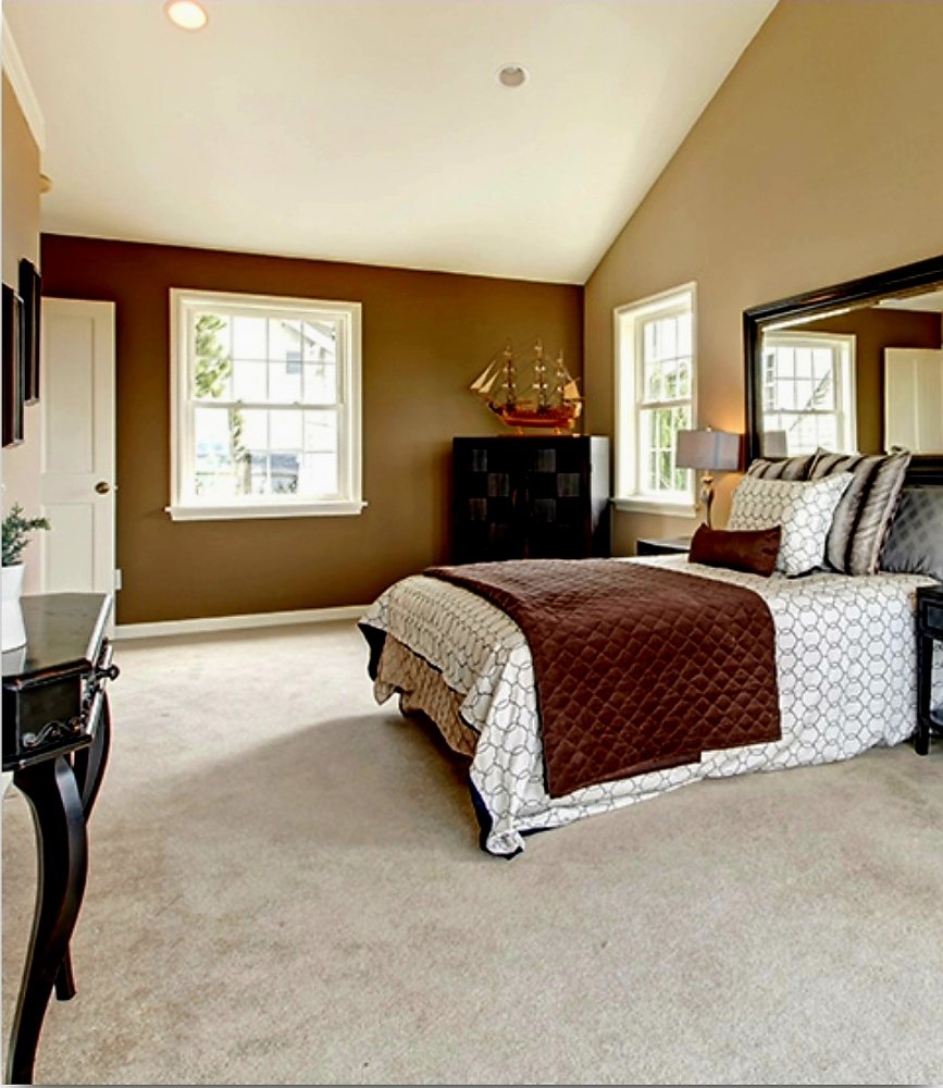 Photo of Palmetto Disinfecting & Sanitizing Plus Carpet Cleaning