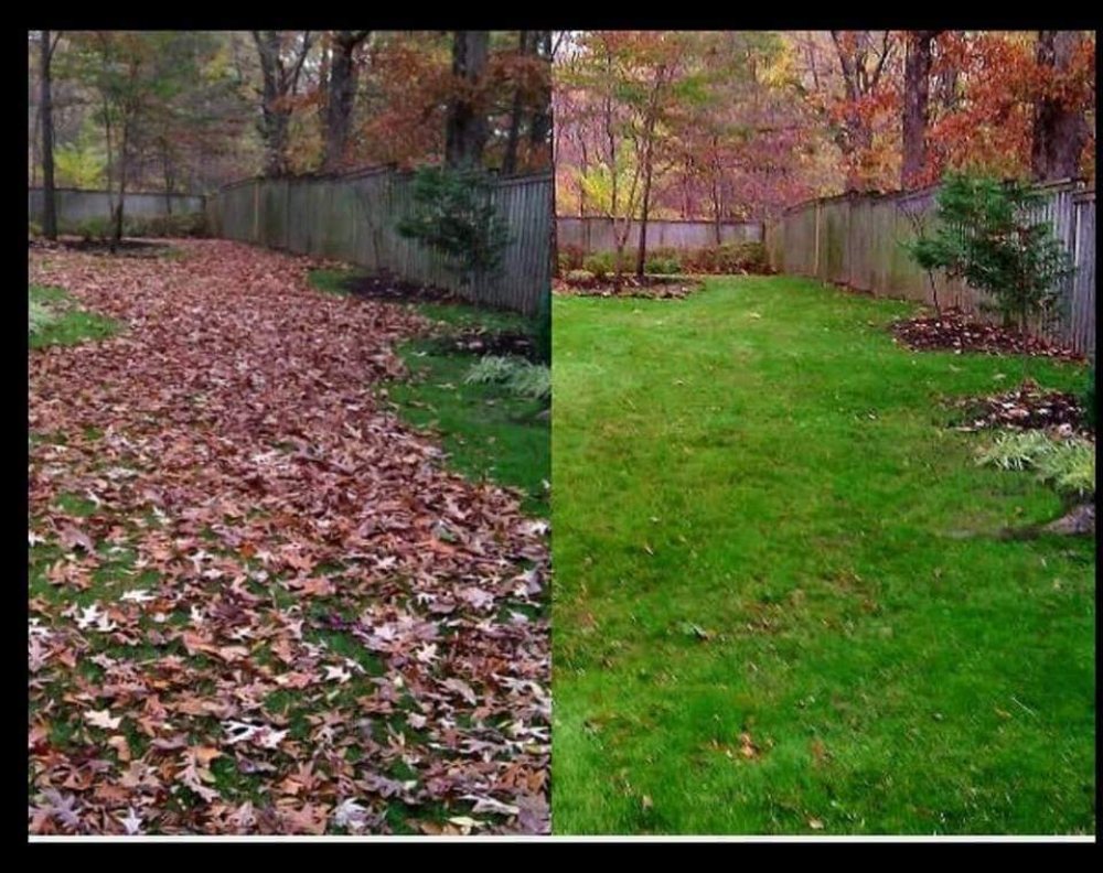 Photo of Top Turf Outdoor Services