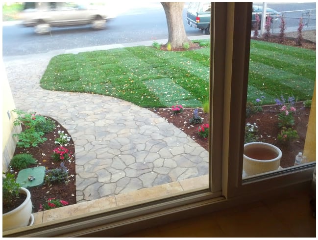 Photo of Dooling Landscape Service
