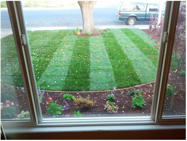 Photo of Dooling Landscape Service