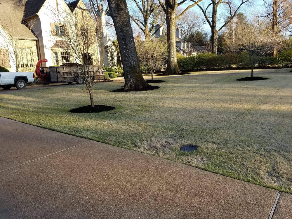 Photo of Go Green Cuts