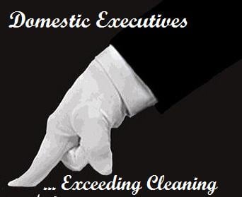 Photo of Domestic Executives