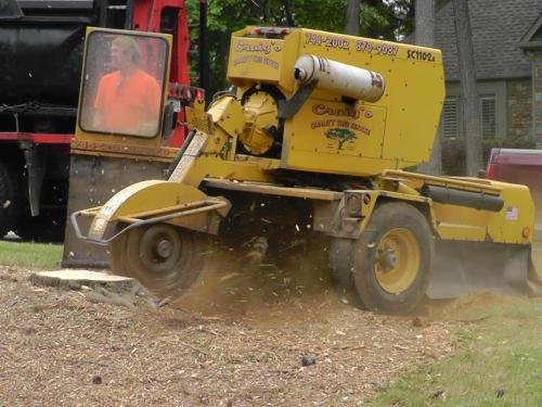 Photo of Craig's Quality Tree Service