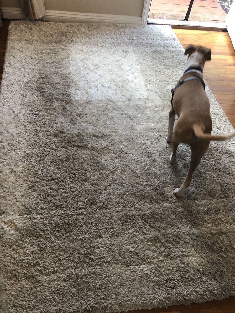 Photo of Bello Express Carpet Care