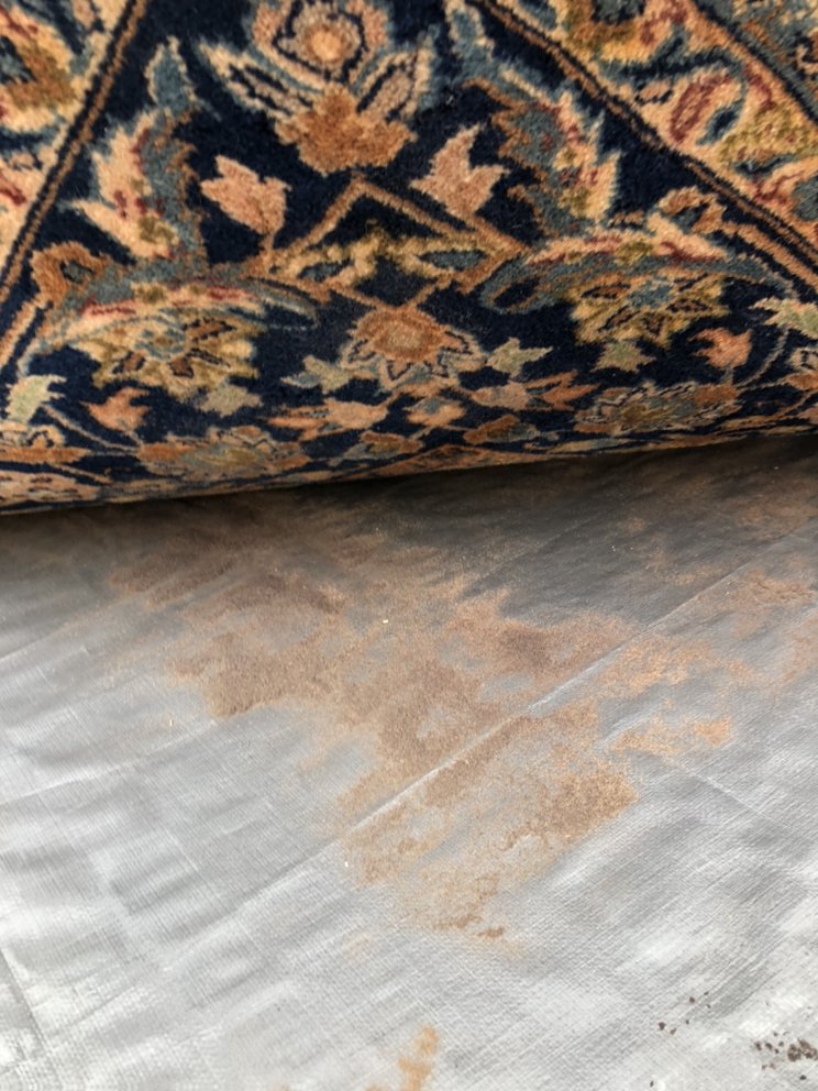 Photo of Bello Express Carpet Care