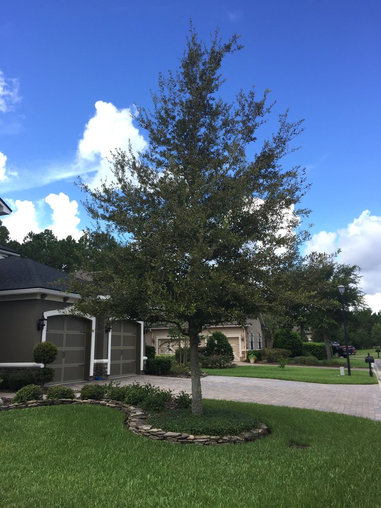 Photo of Bright Lawncare