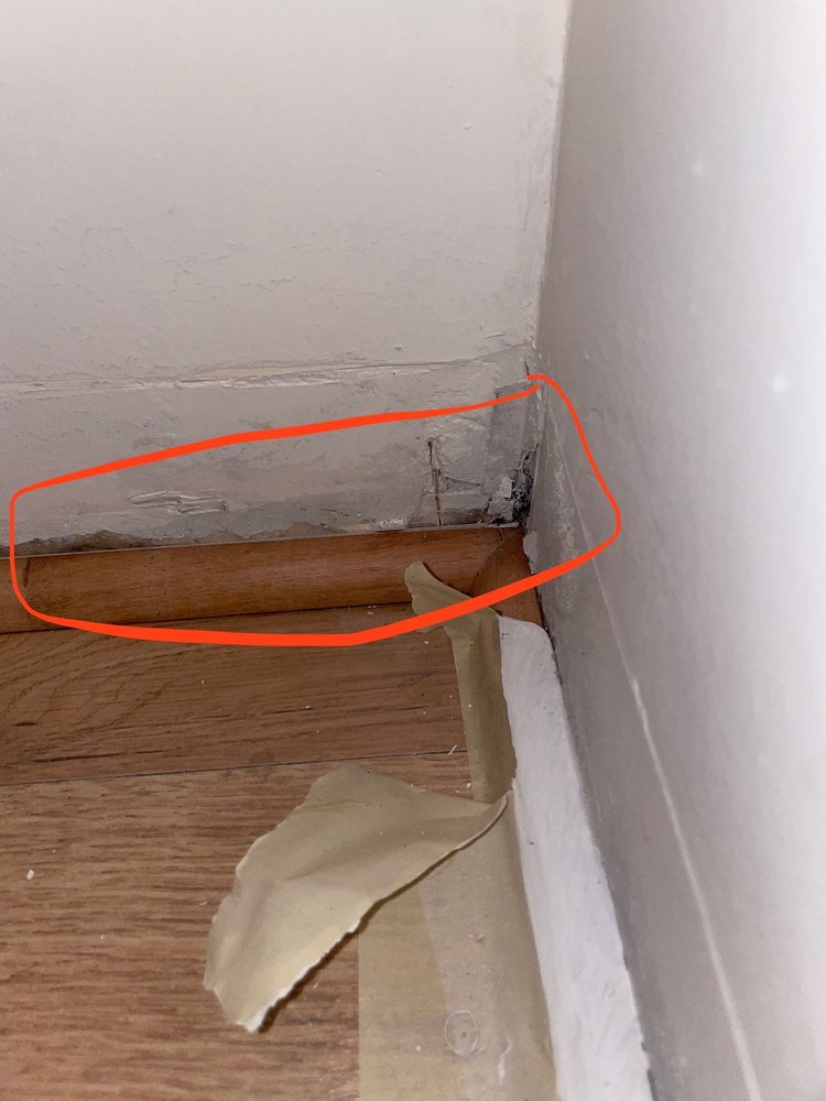 Photo of Mold Eliminators
